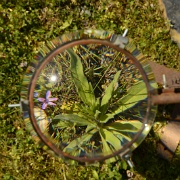 ZUR cabanobscura-105671